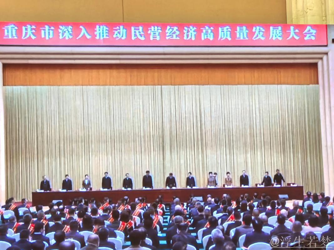 在广阔舞台上大显身手（评论员观察）——促进民营经济高质量发展②